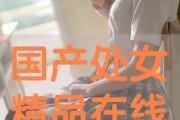 国产在线精,引领潮流的智能娱乐新篇章